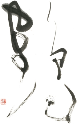 Tsuru Captial